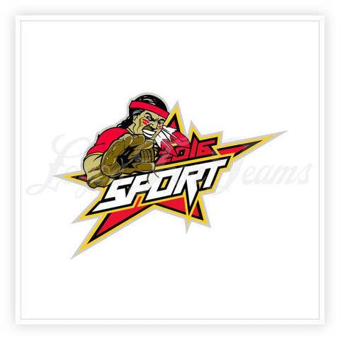 Brave Logo 23