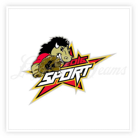 Buffalo Logo 13