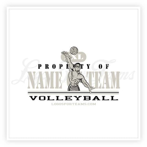 Volleyball Logo 29